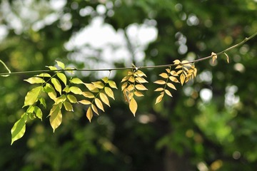 DSC_0330改.jpg