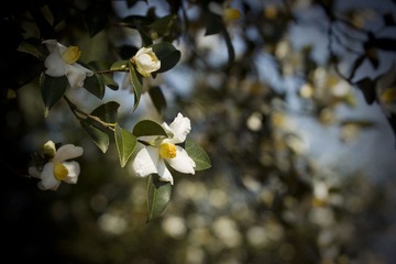 IMG_8883.jpg