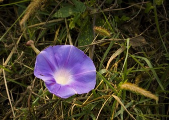 IMG_8824.jpg