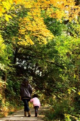 IMG_8985.jpg