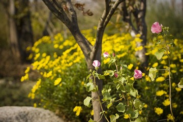 IMG_9033.jpg