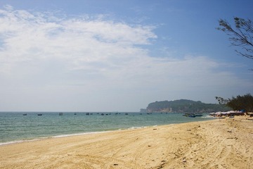 IMG_9329.jpg
