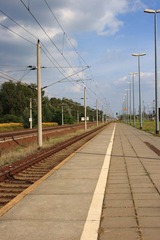 IMG_9749.JPG