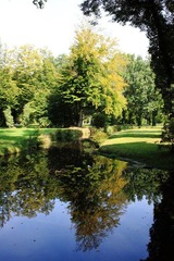 IMG_9780.JPG