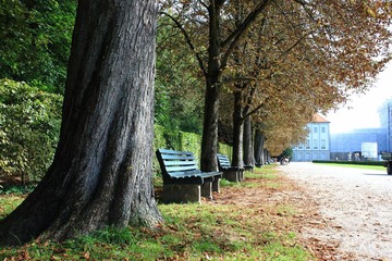 IMG_9883.JPG