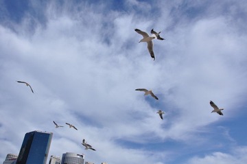 DSC_0737.JPG