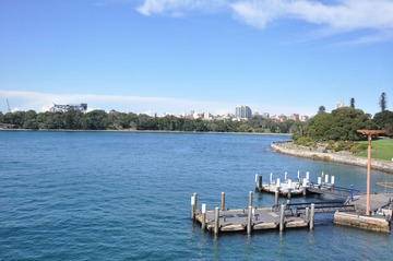 DSC_0783.JPG