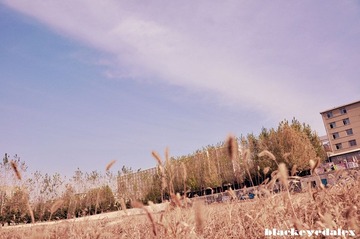 _DSC0986.jpg