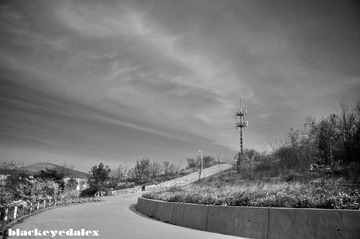 _DSC0050 1.jpg