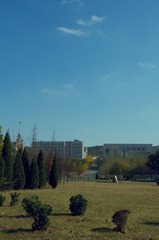_DSC0107.jpg