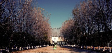 _DSC0041 - 版本 2.jpg