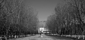 _DSC0041.jpg