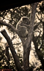 DSC_0854.jpg