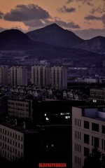 _DSC0393.jpg
