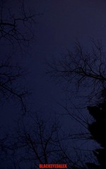_DSC0612.jpg