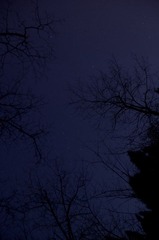 _DSC0612.jpg