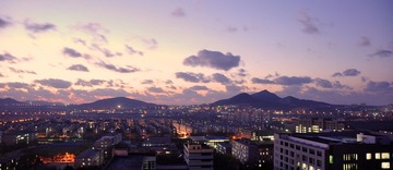 _DSC0488.jpg