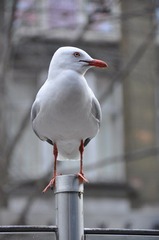 DSC_0294_01.JPG