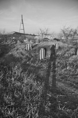 1202 1.jpg