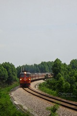 K149