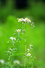 调整大小 IMG_1882