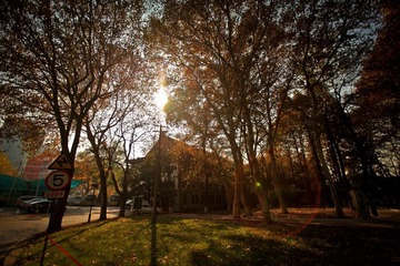 IMG_8687.JPG
