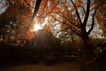 IMG_8718.JPG