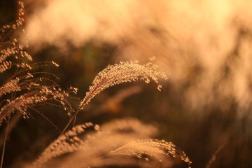 IMG_8982.JPG