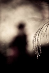 Who 20111127 100638.jpg