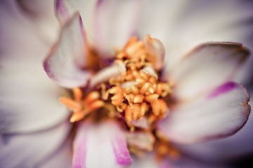 Focus 20110805 125942.jpg