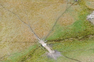 Twelve Apostles 20120118 150250.jpg