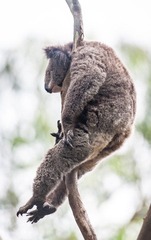 Sydney 20120128 153107.jpg