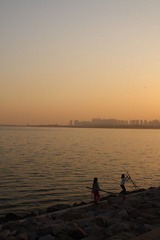 红树林_007.JPG
