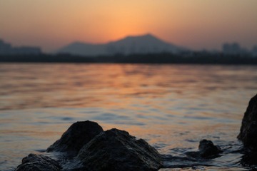 红树林_009.JPG