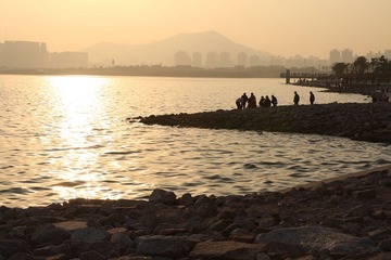 红树林_002.JPG