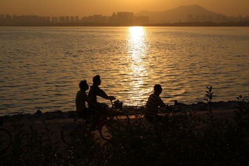 红树林_005.JPG