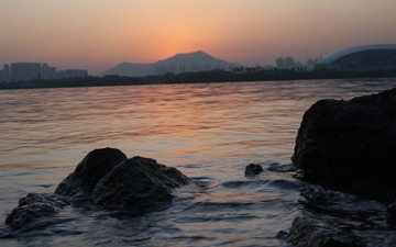 红树林_016.JPG
