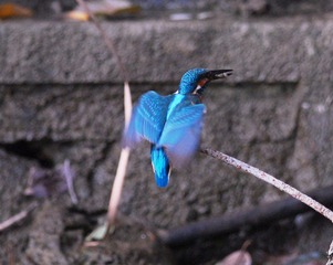 DSC_0030.jpg