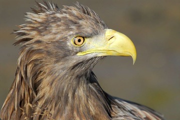 DSC_0005.jpg
