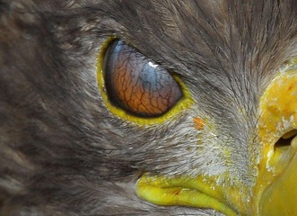 DSC_0043.jpg