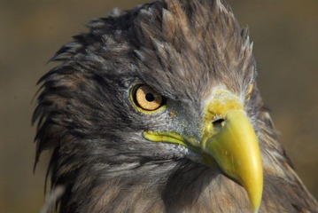 DSC_0057.jpg