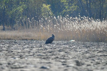 DSC_0182.jpg