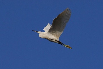 DSC_0660.jpg