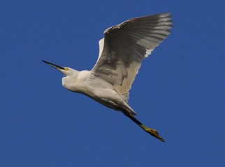 DSC_0661.jpg