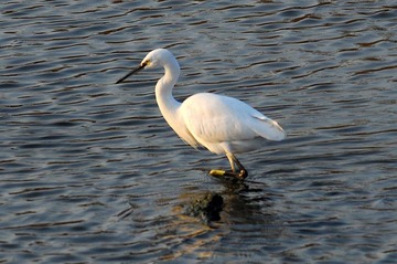 DSC_0764.jpg