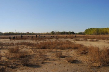 DSC_1081.jpg