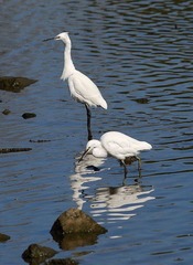 DSC_0407.jpg