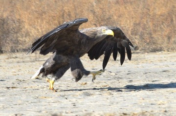 DSC_0054.jpg