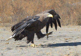 DSC_0055.jpg