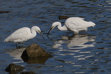 DSC_0361.jpg